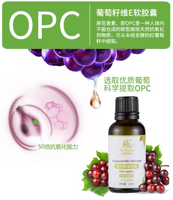 智利葡萄籽油