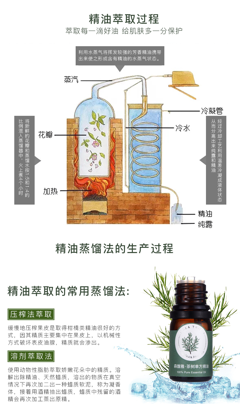 茶树单方精油