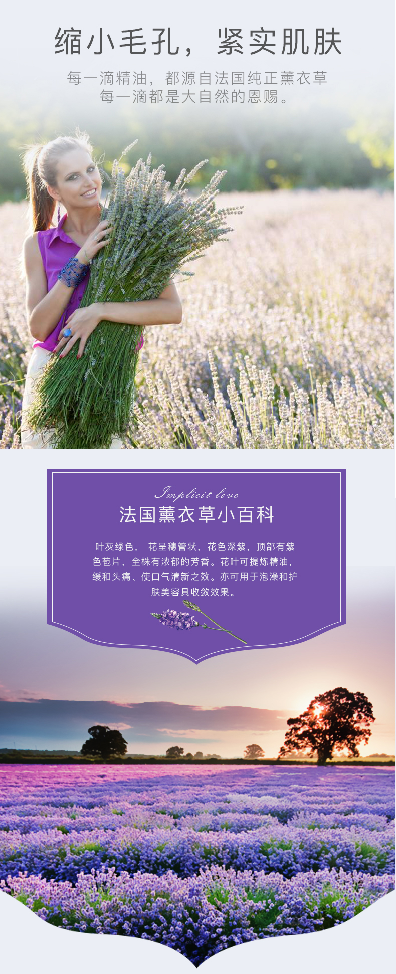 薰衣草单方精油